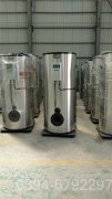 0.3吨免检蒸汽发生器