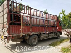 厂家直销河南锅炉WNS0.5-1.0-Q型天然气锅炉耗气量
