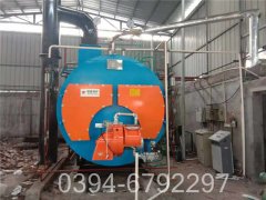蒸汽锅炉锅炉案例