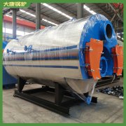 工业蒸汽锅炉天然气WNS0.32018年受欢迎的