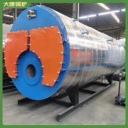 冷凝式燃气蒸汽锅炉WNS8做凉皮用