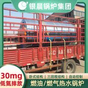 0.3吨液化气蒸汽锅炉太康银晨锅炉厂