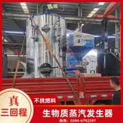 燃气小型蒸汽锅炉