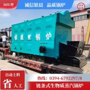 燃气煤锅炉
