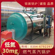 天然气蒸汽锅炉厂家