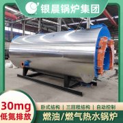 12吨低氮冷凝锅炉